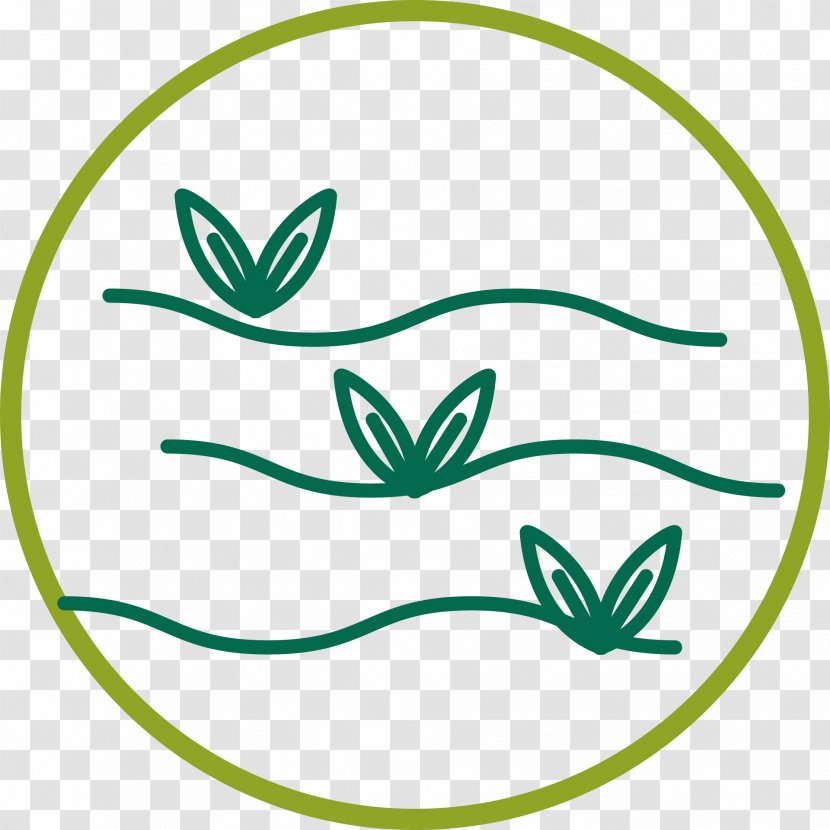 Nursery Olive Plants Ornamental Plant Clip Art - Green - Aziende Banner Transparent PNG