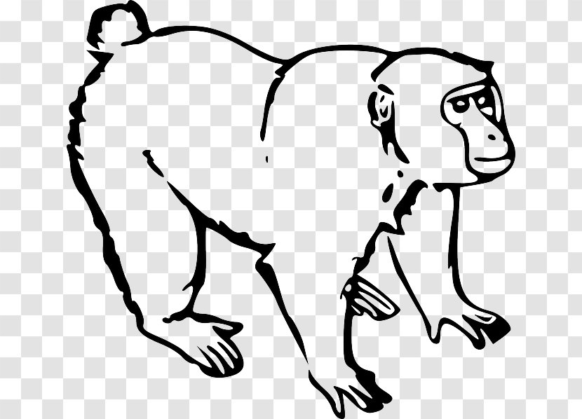 Monkey Ape Drawing Clip Art - Color - Line Transparent PNG