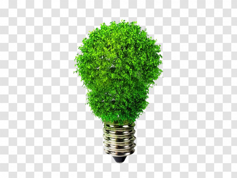 Incandescent Light Bulb Light-emitting Diode Lamp Efficient Energy Use - Green Logo Template Download Transparent PNG
