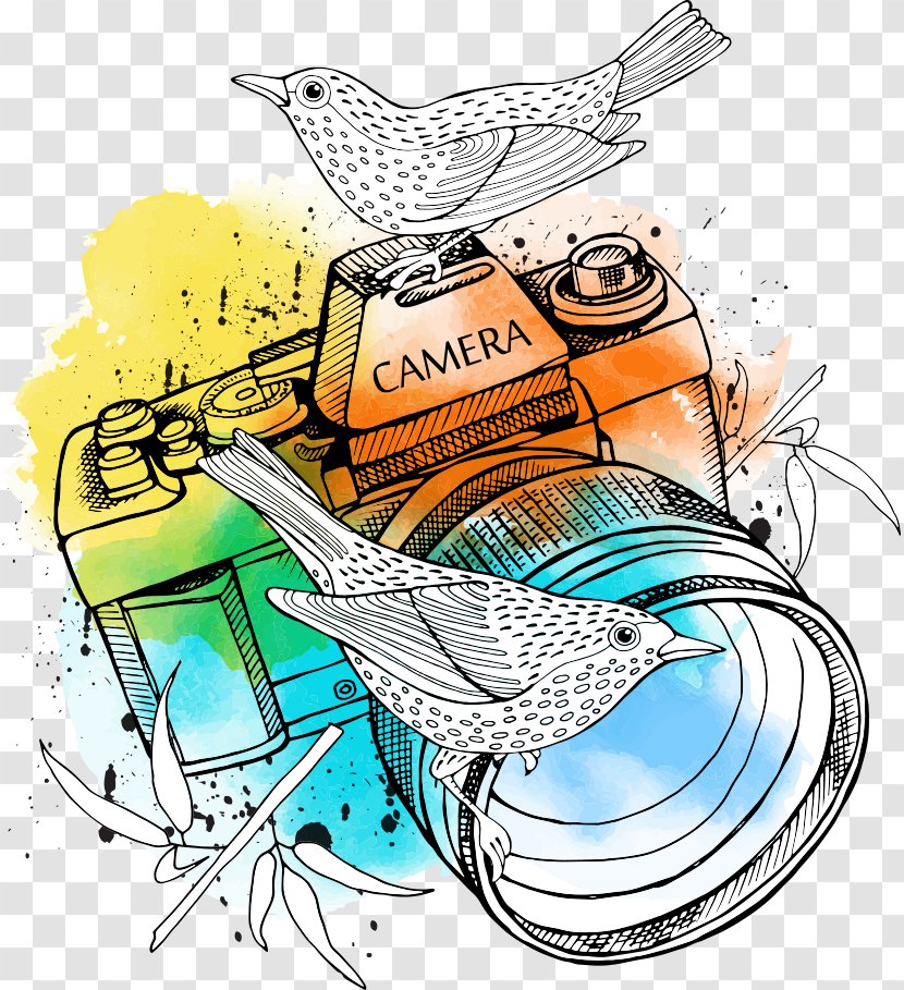 Camera Lens Illustration - Flare - Birds Vector On The Transparent PNG