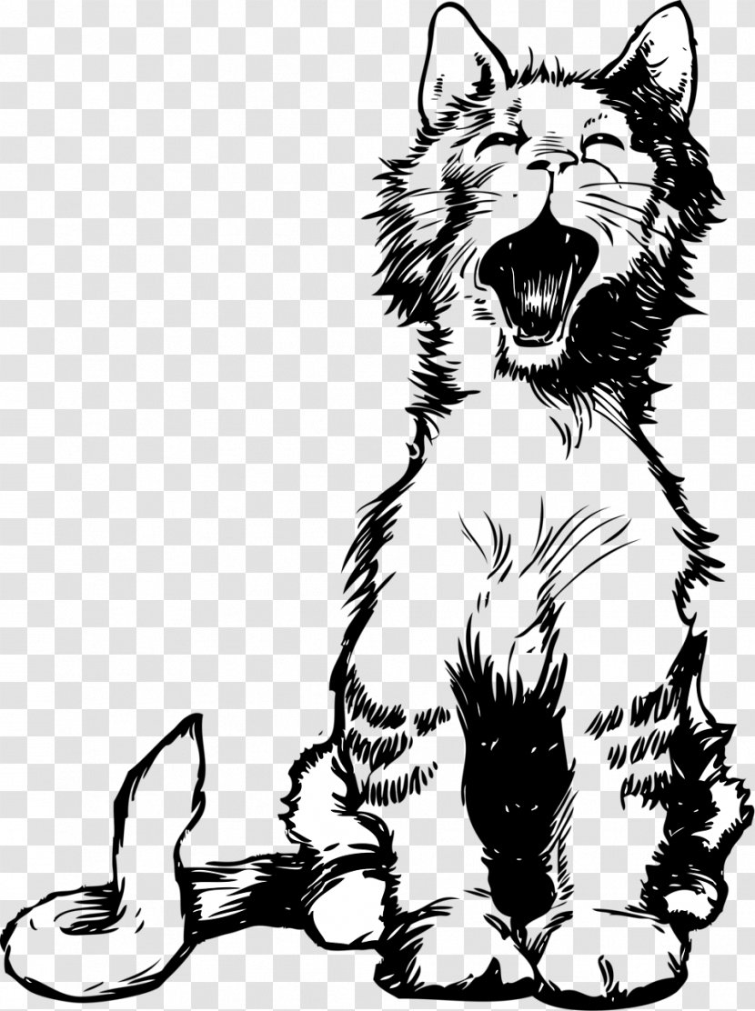 Cat Kitten Meow Clip Art - Line Transparent PNG