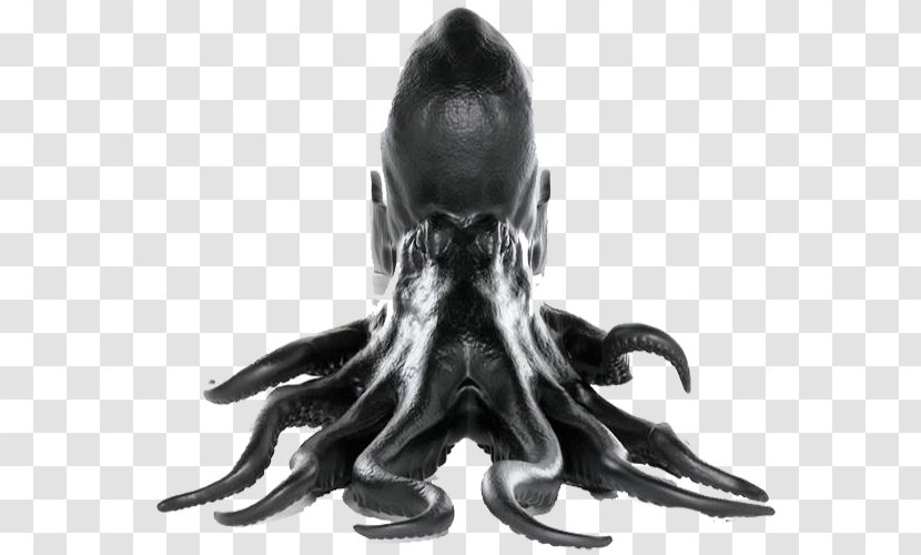 Octopus Rhinoceros Chair Furniture Mxe1ximo Riera - Marine Invertebrates - Black Stone Transparent PNG