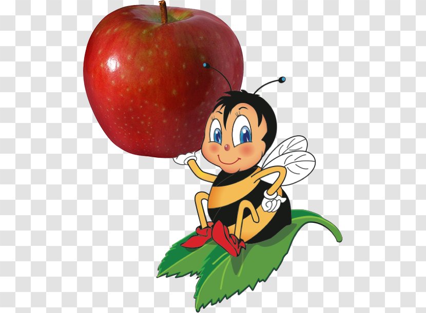 Apple SugarBee Honeycrisp Clip Art - Cartoon Transparent PNG
