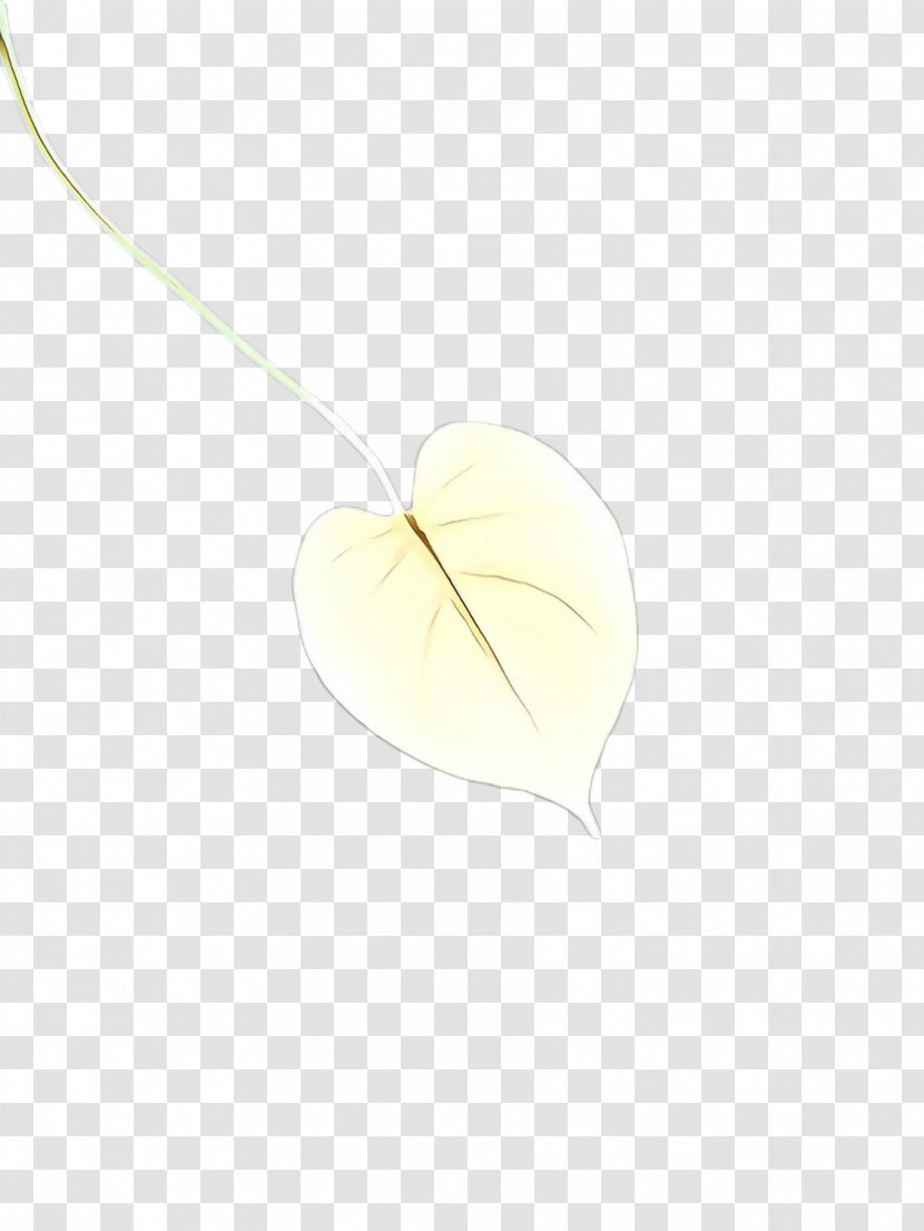 Pendant Leaf Necklace Jewellery Anthurium - Cartoon - Locket Transparent PNG