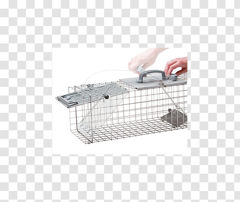 Cage Trapping Squirrel Fish Trap Mousetrap - Mouse Transparent PNG