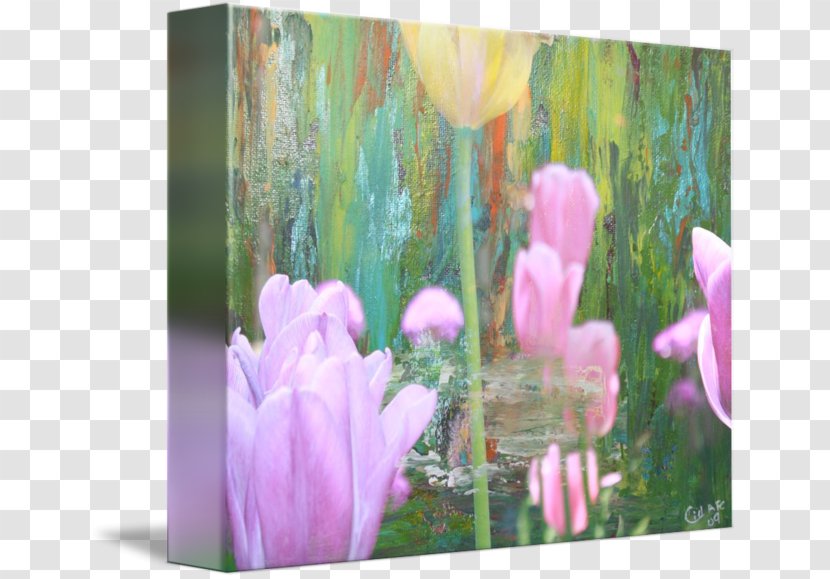 Tulip Floral Design Cyclamen Petal - Lily Family Transparent PNG