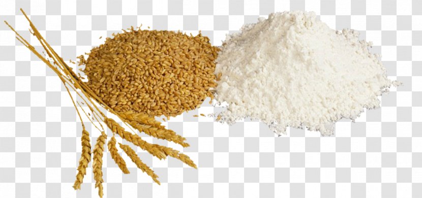 Atta Flour Pasta Wheat Roti - Grain Transparent PNG
