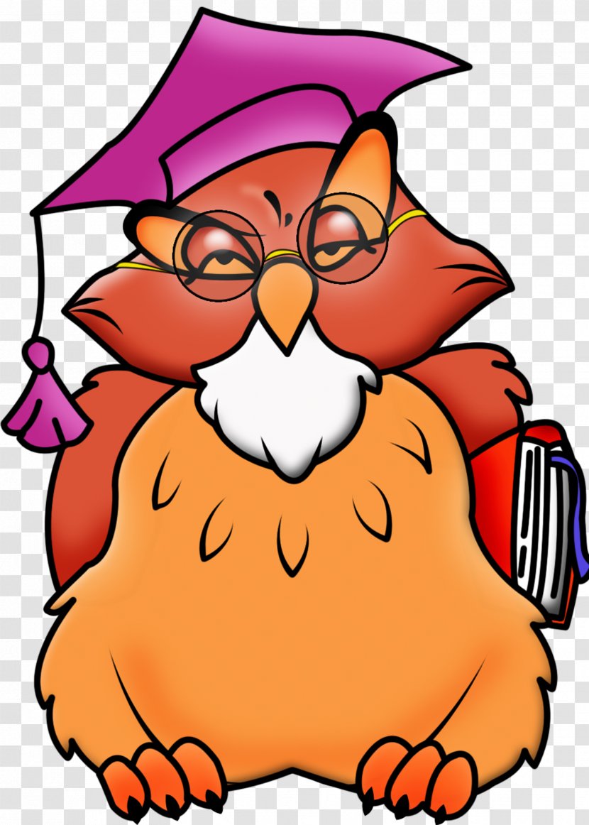 Teacher School Cartoon Clip Art - Bird - Owls Transparent PNG