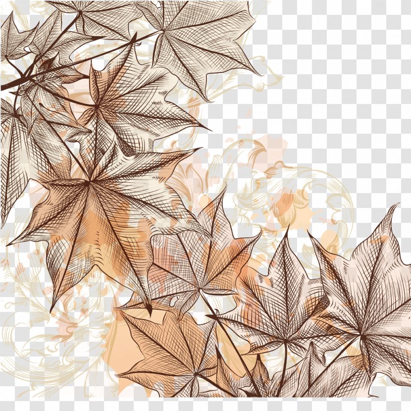 Maple Leaf Illustration - Painting - Hand-painted Transparent PNG