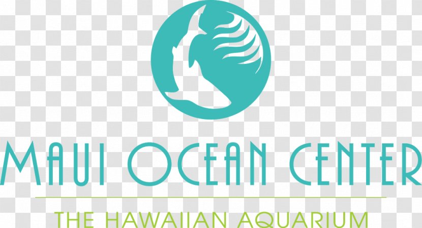 Maui Ocean Center Lahaina Shaka Vibe Bubble Tea & Treats Wailuku Hotel - Hawaii Transparent PNG