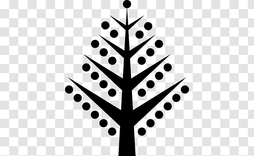 Christmas Tree - Monochrome Photography - Free Branches Buckle Material Transparent PNG