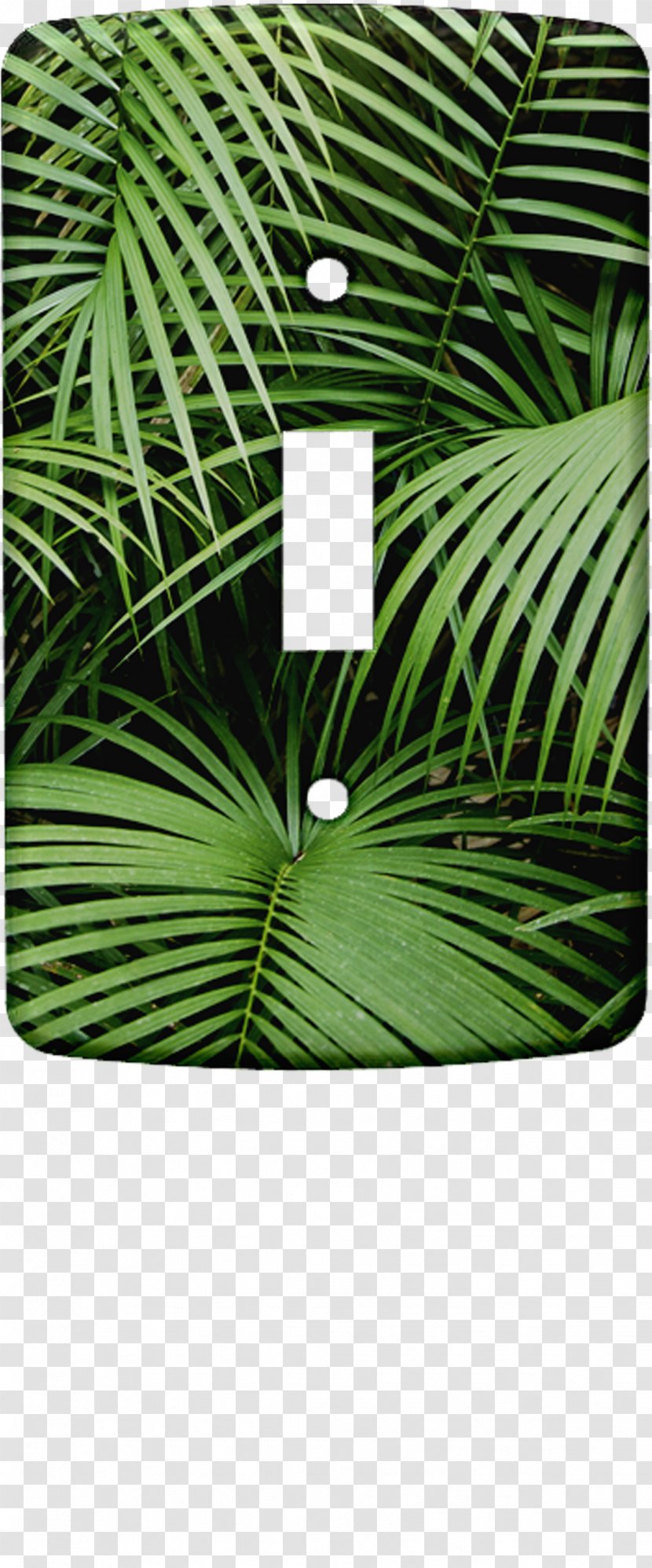 Stock Photography Depositphotos Royalty-free Sydney - Leaf - Jungle Safari Transparent PNG