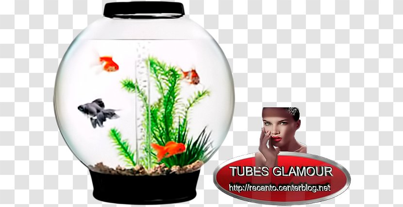 BiOrb CLASSIC Collection Aquarium Gallon FLOW - Tanks Transparent PNG