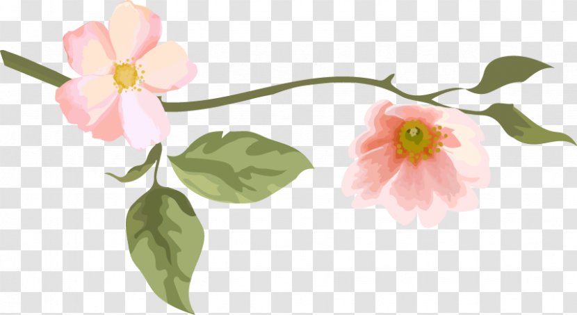 Bird Floral Design Illustration - Petal - Cartoon Pink Peach Transparent PNG