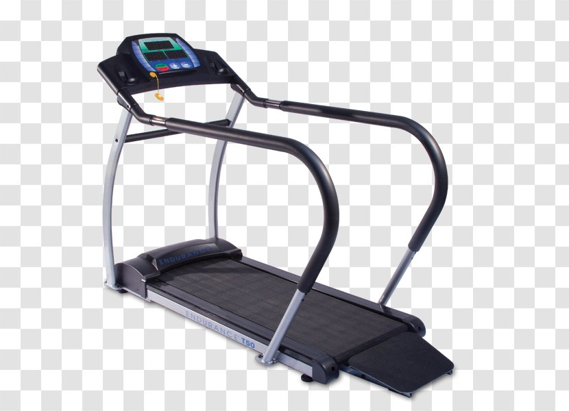 Treadmill Endurance Exercise Equipment Physical Fitness - Sport Transparent PNG