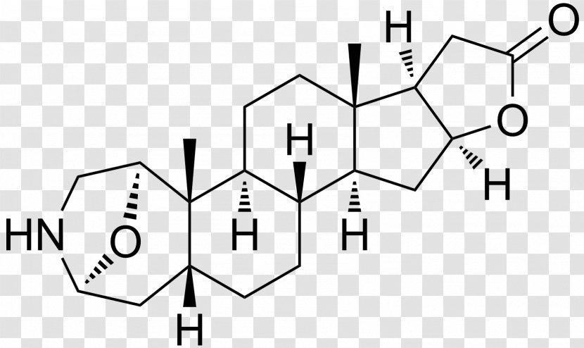 Ethinylestradiol Estrone Toronto Research Chemicals Inc. Ethynyl Estrogen - Hydroxyprogesterone - Alpine Salamander Transparent PNG