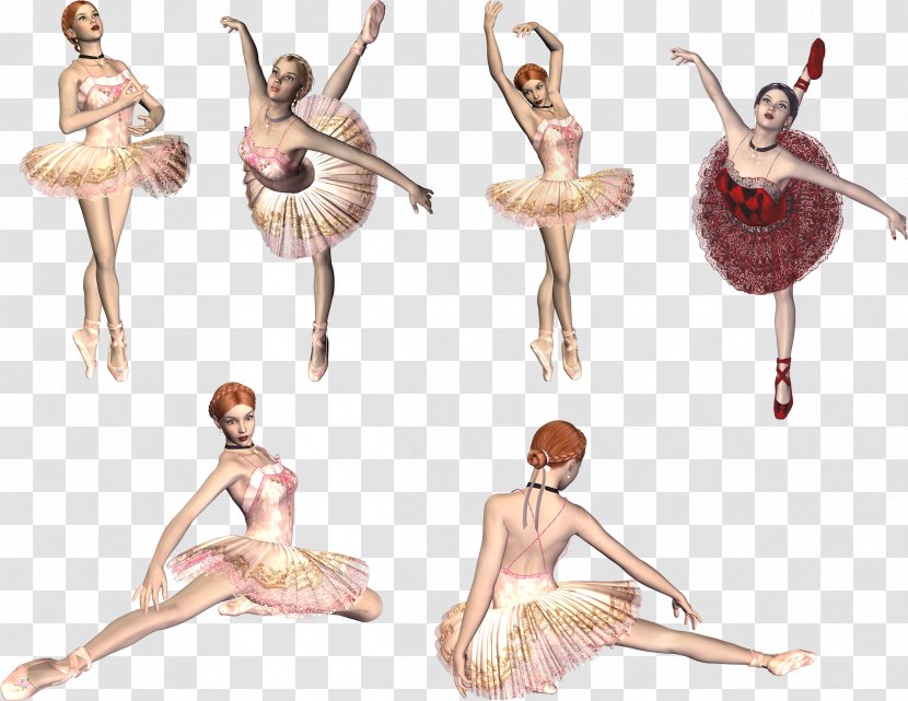 Ballet Dance Long Gallery Homo Sapiens Clip Art - Flower Transparent PNG