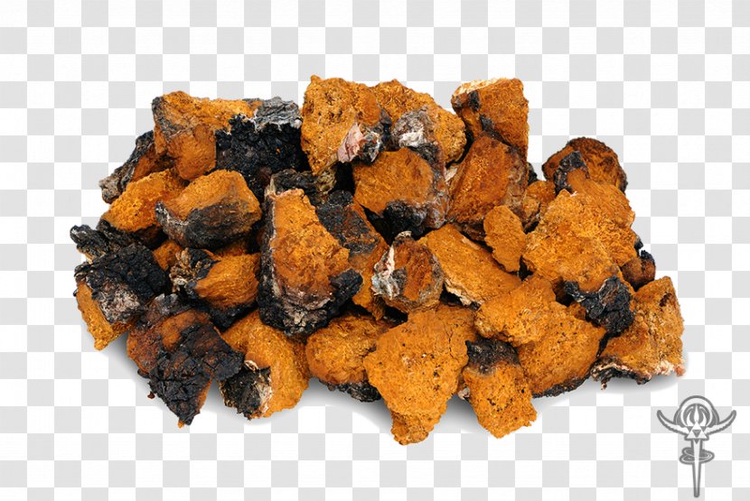 Tea Chaga Mushroom Edible Oxygen Radical Absorbance Capacity Birch - Immune System - Bitter Melon Transparent PNG