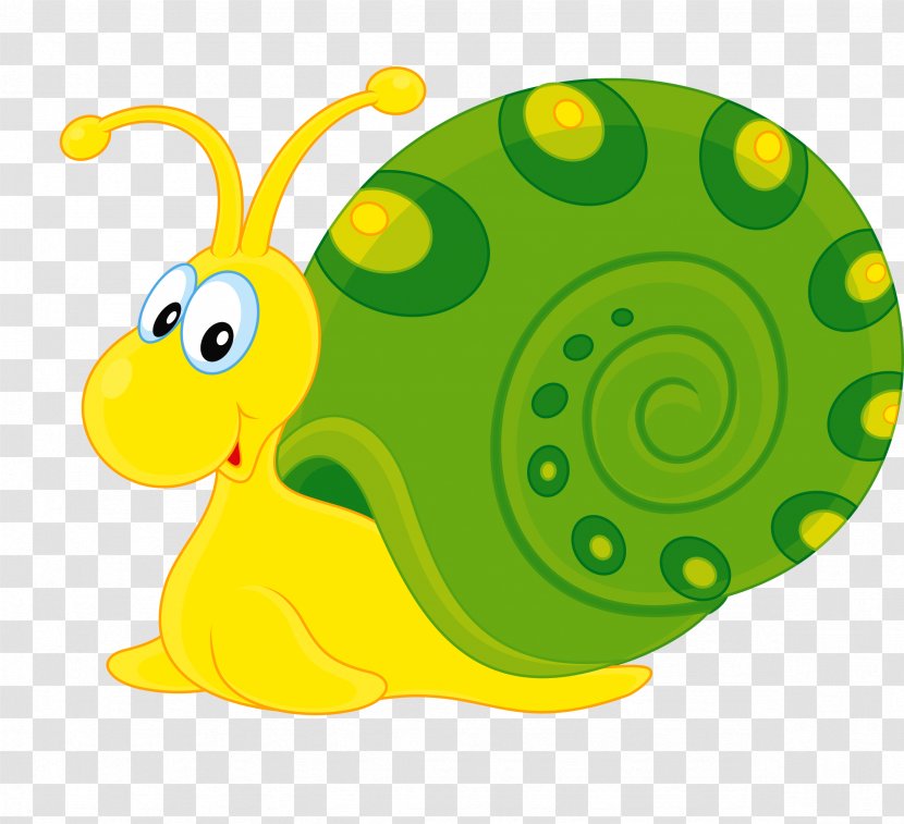 Insect Snail Clip Art - Organism - Snails Transparent PNG