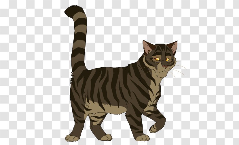 Tabby Cat American Shorthair Wirehair Manx European - Fictional Character - Kitten Transparent PNG