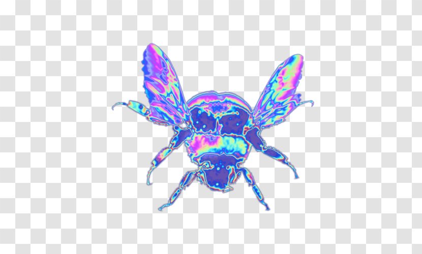 Bee Sting Dog Bumblebee Transparent PNG