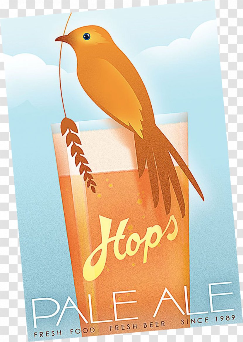 Beer Pale Ale Brewery Hops - Advertising Transparent PNG