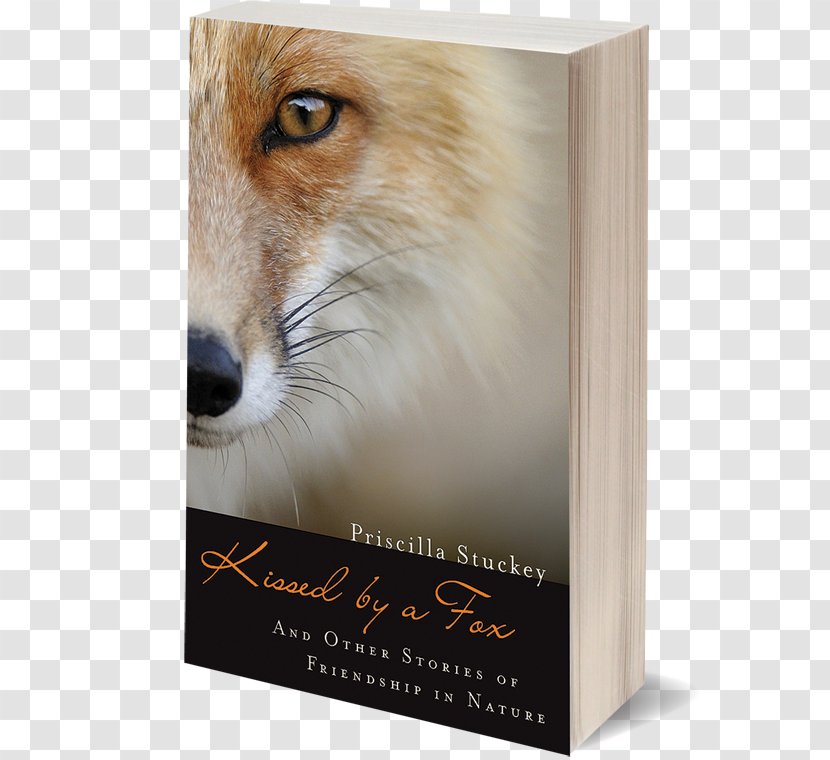 Kissed By A Fox: And Other Stories Of Friendship In Nature Book Snout - Spirituality - Cover Transparent PNG