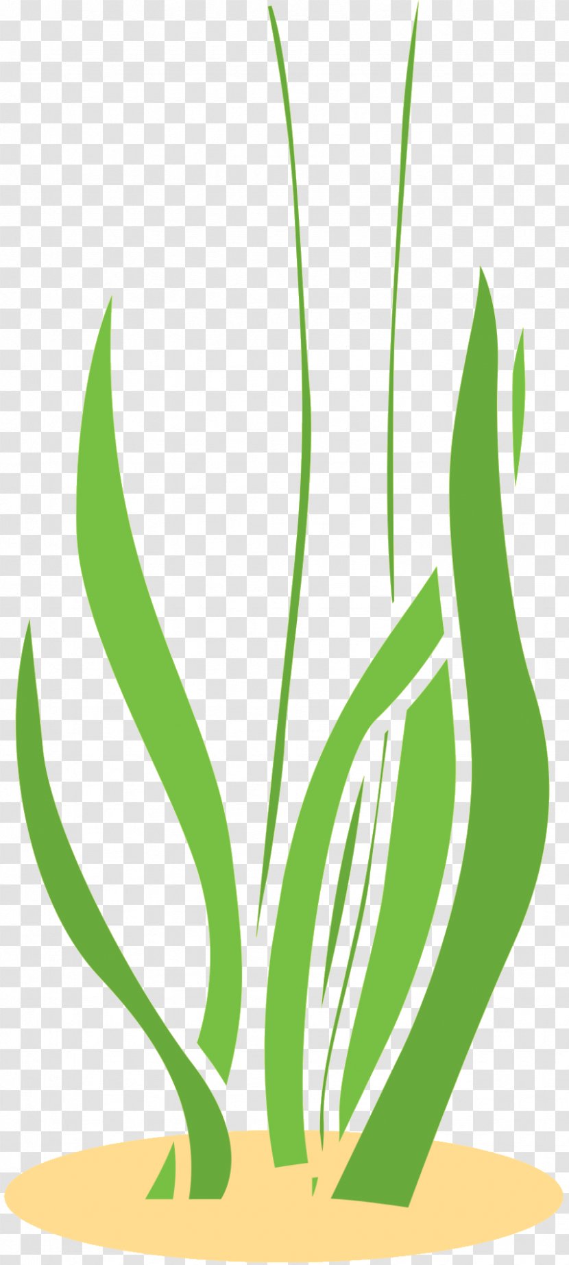 Grasses Clip Art Plant Stem Commodity Product Design - Plants - Logo Transparent PNG