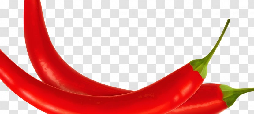 Chili Pepper Cayenne Serrano Bird's Eye Tabasco - Peperoncini Transparent PNG