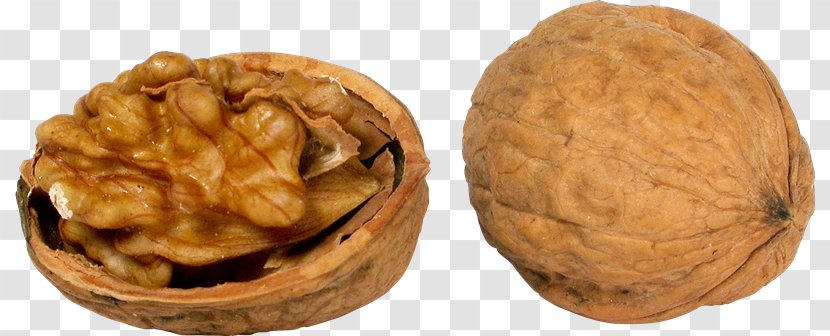 English Walnut Nuts Clip Art - Nut - Nuez Transparent PNG