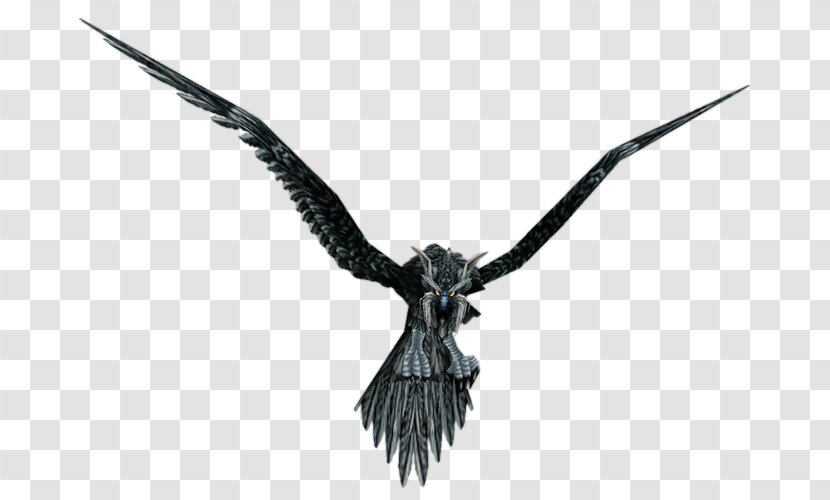 Bird Crow Common Raven World Of Warcraft Wowpedia - Animal Transparent PNG