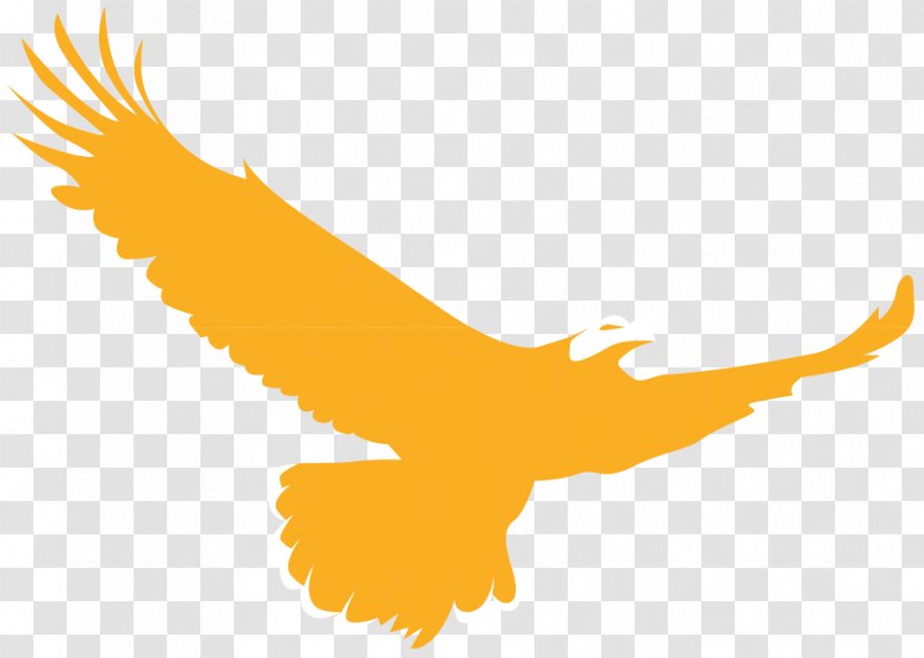 Golden Eagle Logo Bird - Symbol Transparent PNG