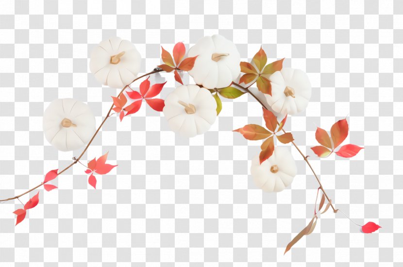 Cherry Blossom - Petal Transparent PNG