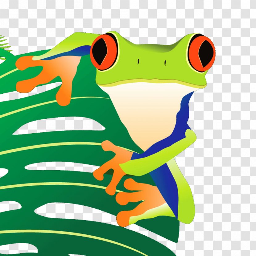 Tree Frog True Toad - Organism - Painted Transparent PNG