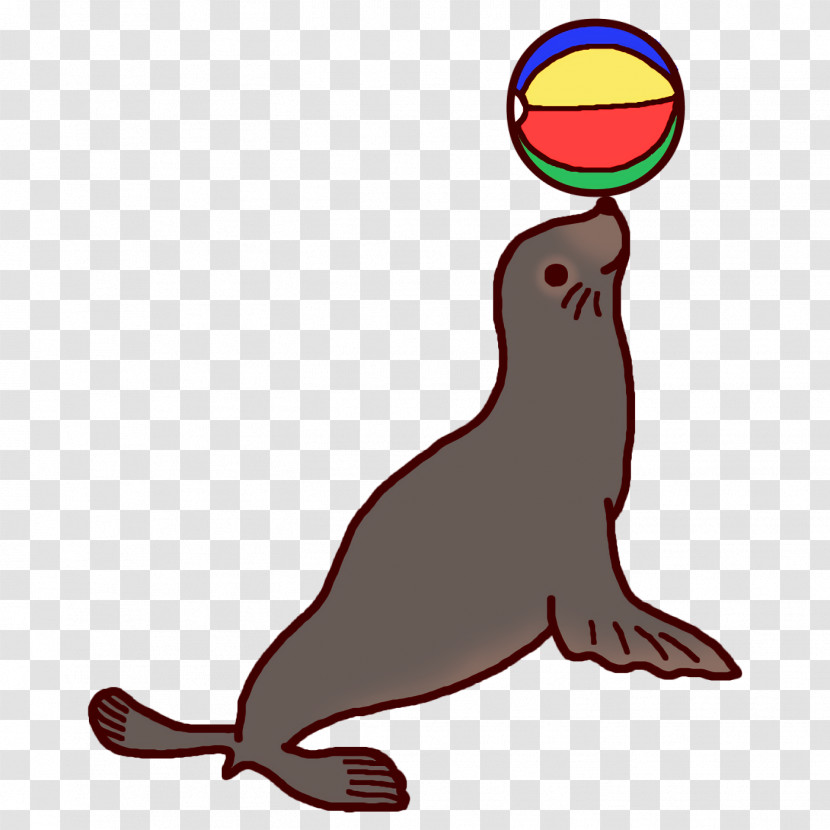 Sea Lions Seals Beak Line Tail Transparent PNG