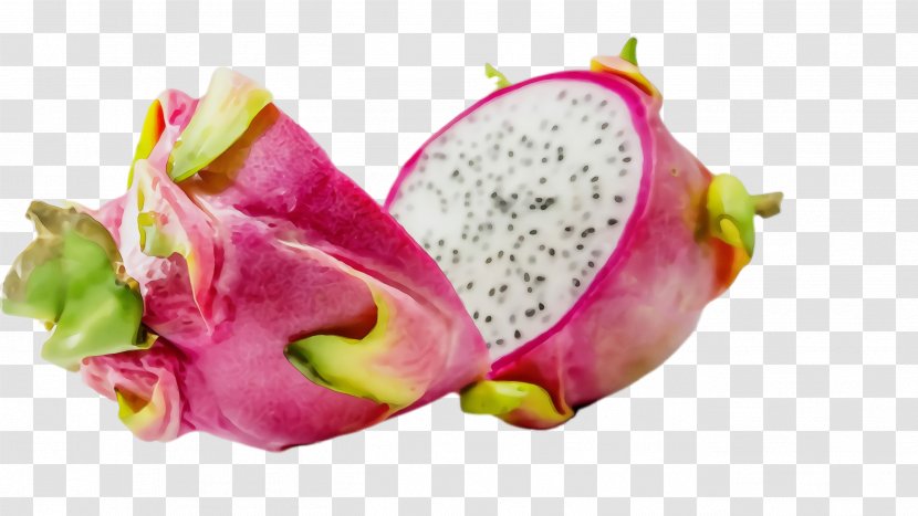 Pink Flower Cartoon - Cactus - Natural Foods Petal Transparent PNG