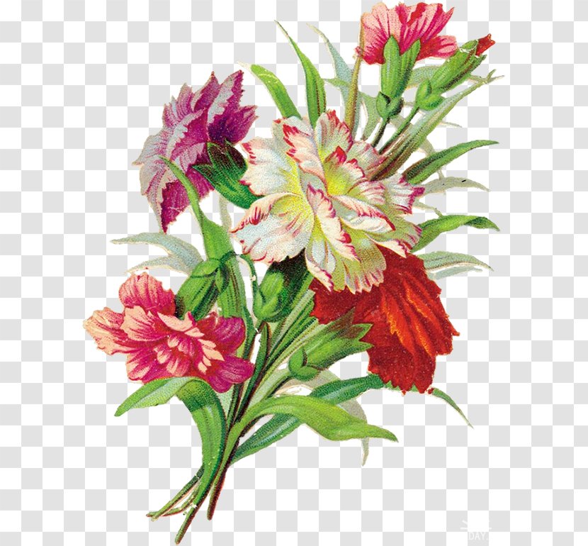 Flower Decoupage Art Painting - Annual Plant Transparent PNG