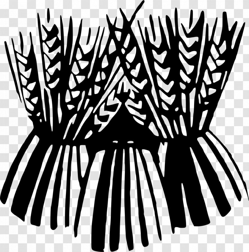 Sheaf Clip Art - Drawing - Wheat Transparent PNG