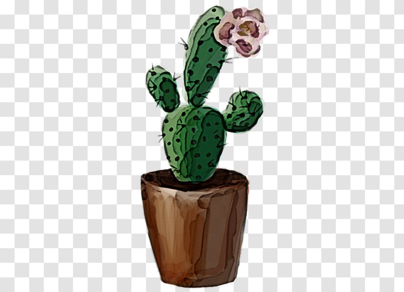 Cactus - Flowerpot - Prickly Pear Houseplant Transparent PNG