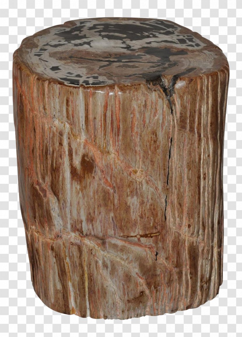 Coffee Tables Petrified Wood Petrifaction - Trunk - Table Transparent PNG