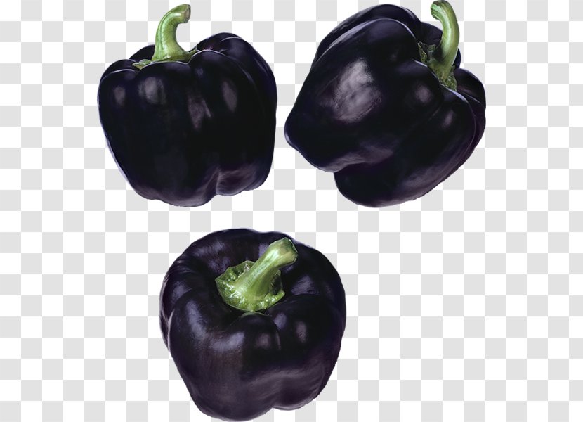 Habanero Bell Pepper Pasilla Chili Black - Peppers And Transparent PNG
