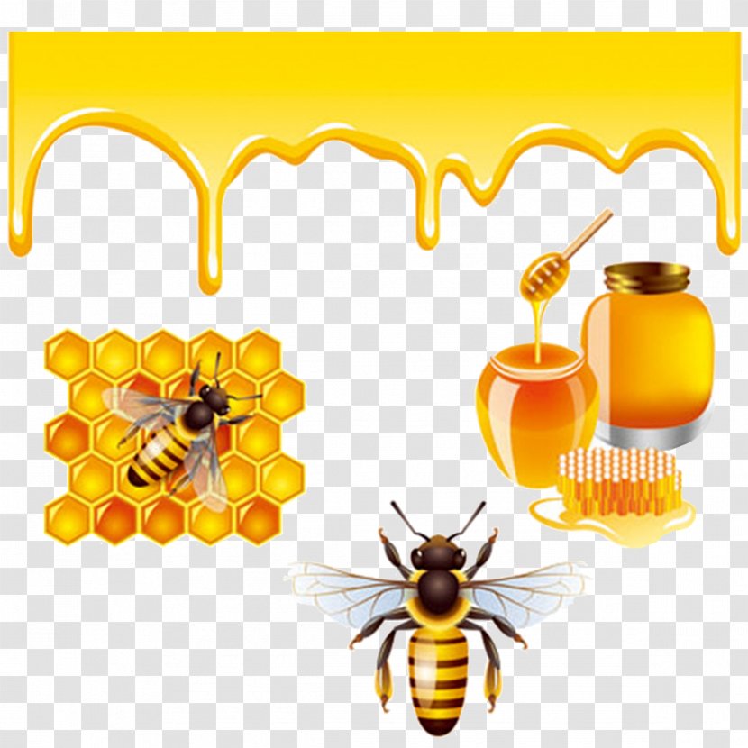 Honey Bee Royalty-free - Stock Photography - Bees And Transparent PNG