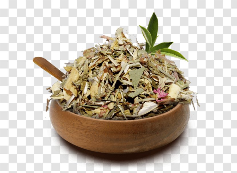 Teapot Hōjicha Diabetes Mellitus Medicinal Plants - Tea Transparent PNG