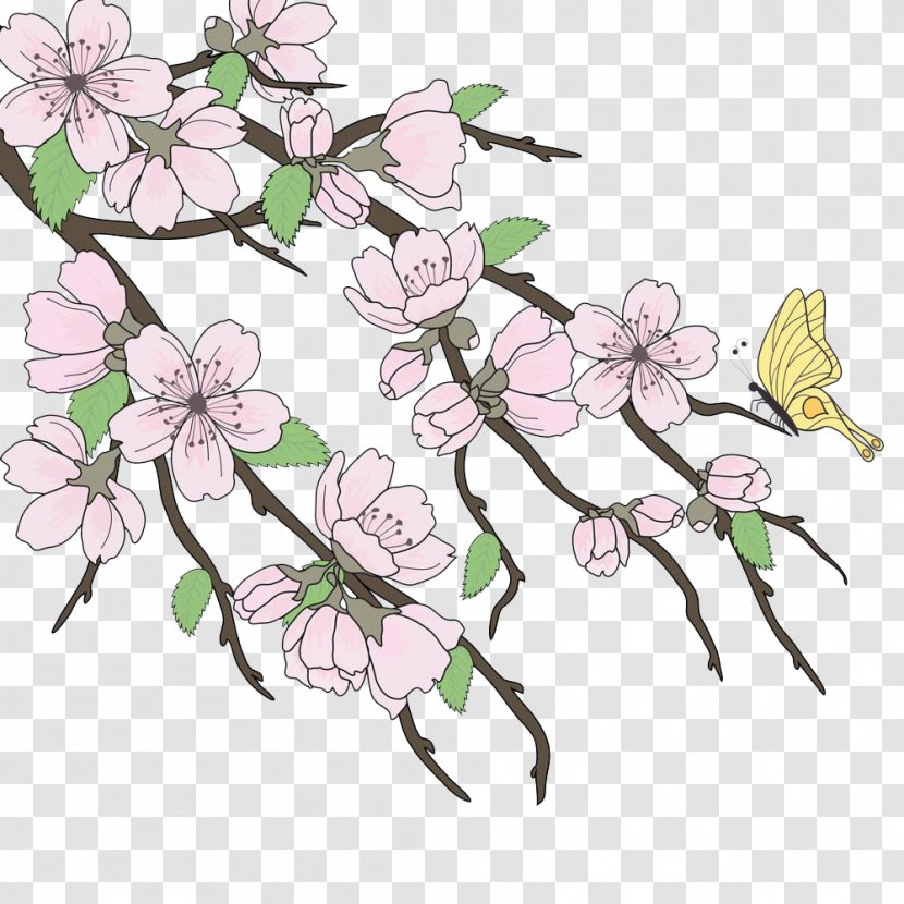 Cherry Blossom Branch Stock Illustration - Flower Arranging - Japanese Blossoms Transparent PNG