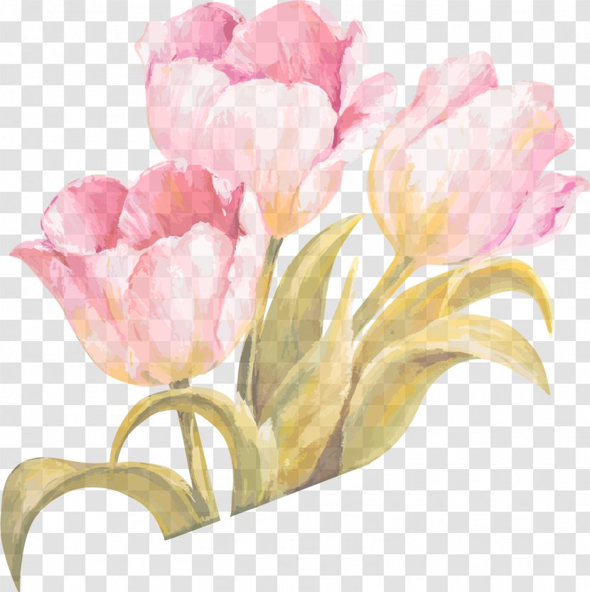 Tulip Watercolor Painting Flower - Seed Plant - Ribbon Vector 1 Transparent PNG