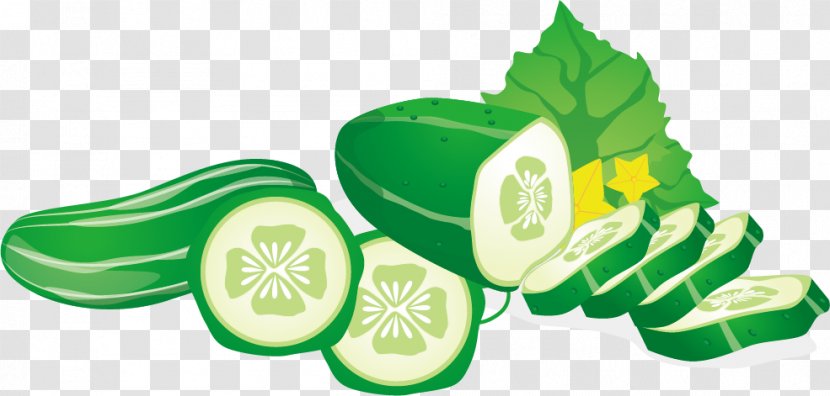 Cucumber Vegetable Euclidean Vector Fruit - Green - Slices Transparent PNG