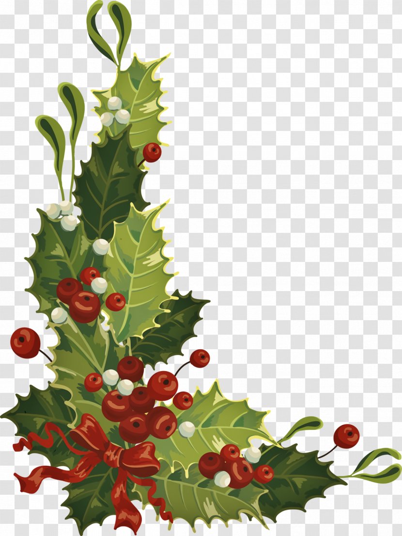 Christmas Holly Ilex - American - Decoration Chinese Hawthorn Transparent PNG