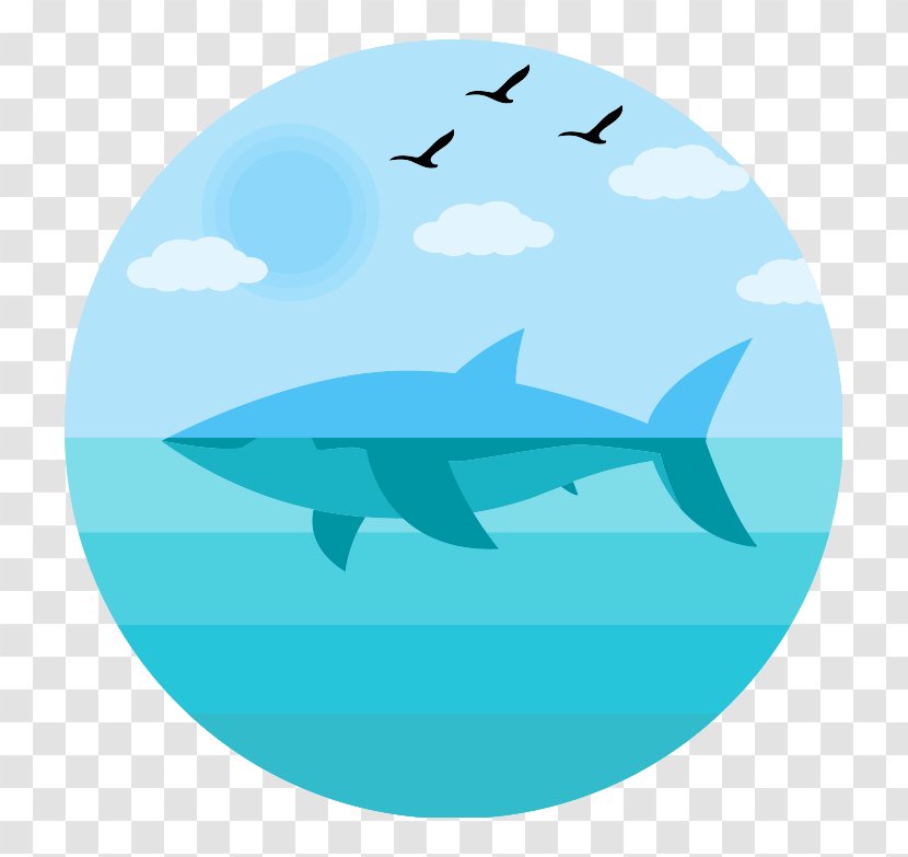 Shark - Dolphin - Aqua Transparent PNG