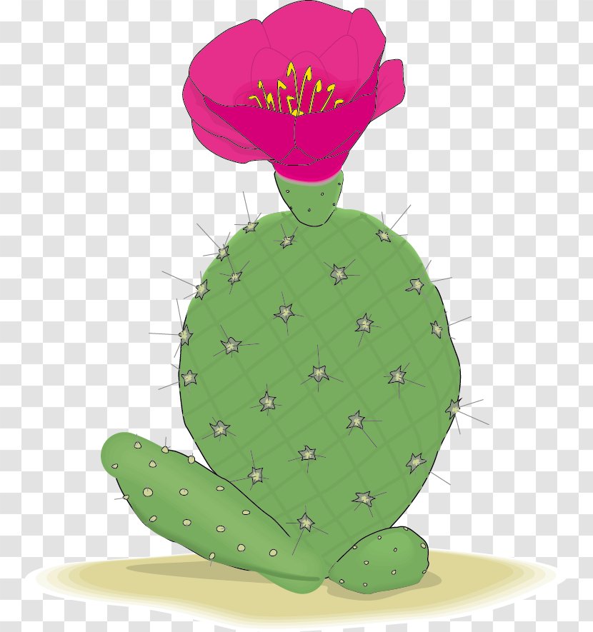 Cactaceae Clip Art - Plant - Vector Cactus Transparent PNG