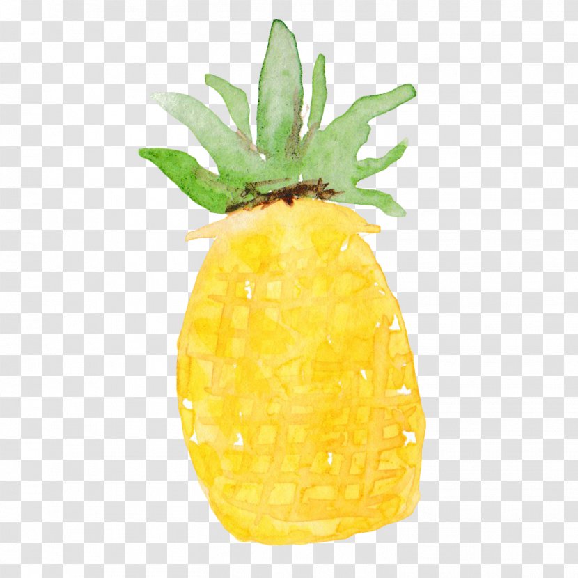 Pineapple Beach Oyster Fruit - Ananas Transparent PNG